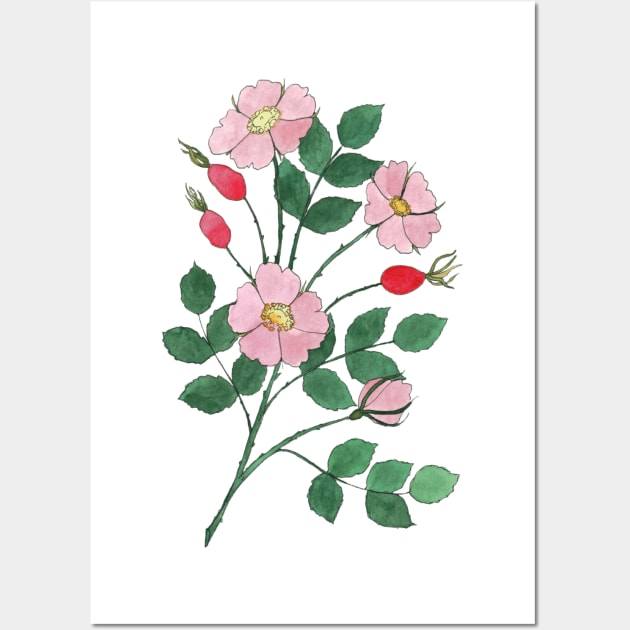 Wild Roses with Rosehips Watercolor Illustration Wall Art by Danica Templeton Art